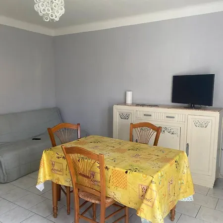 Apartment F2 Ensoleille Pres Des Thermes, Animaux Admis - Fr-1-703-203 *