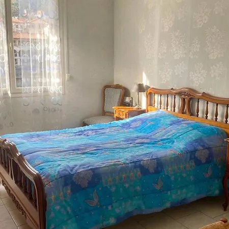 Apartment F2 Ensoleille Pres Des Thermes, Animaux Admis - Fr-1-703-203 Amelie-les-Bains-Palalda