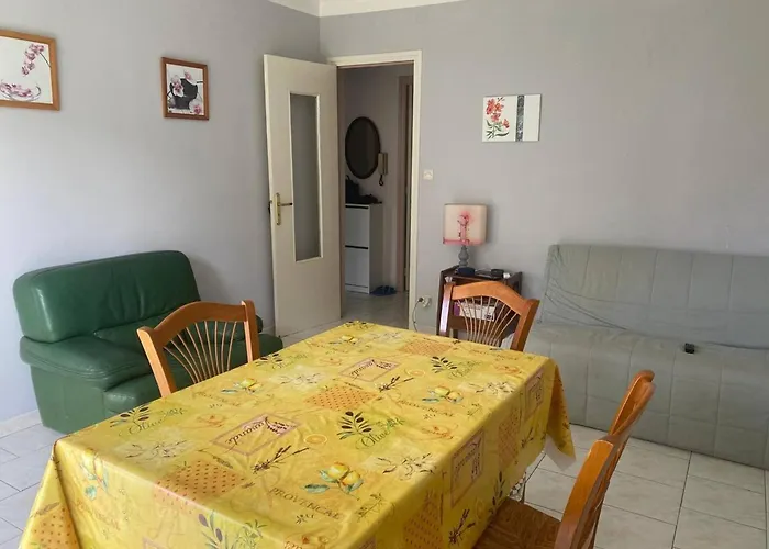 F2 Ensoleille Pres Des Thermes, Animaux Admis - Fr-1-703-203 *